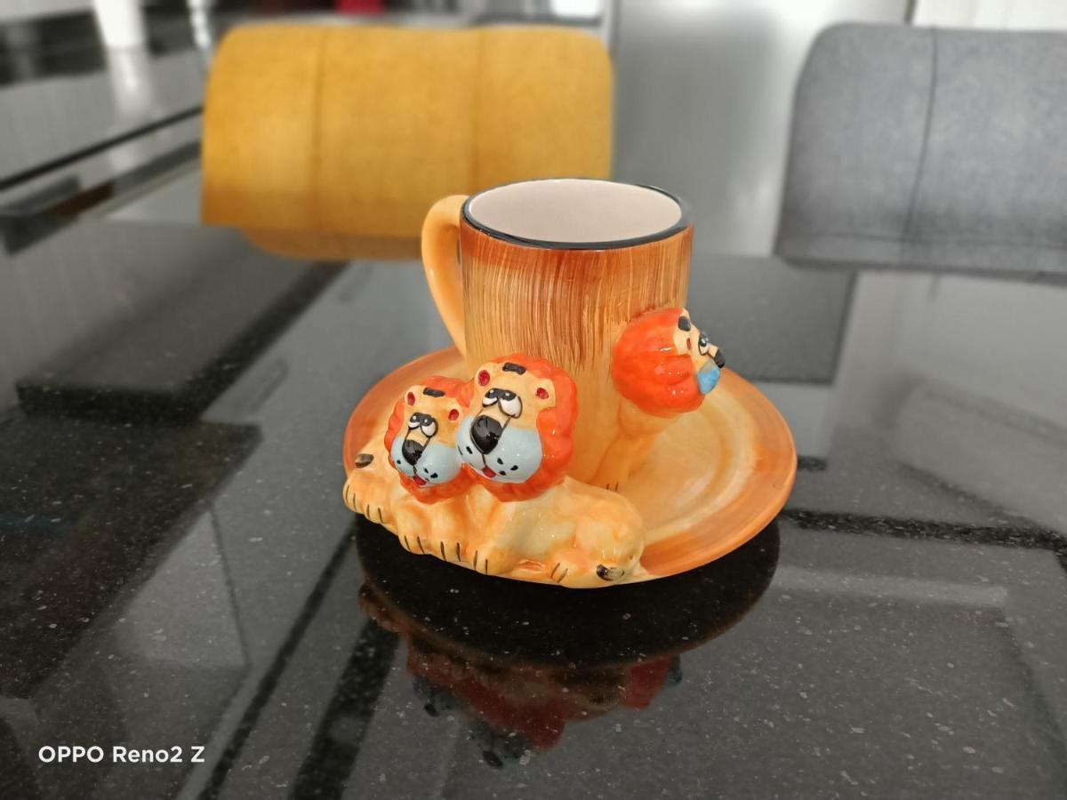 Comfortable Luxury Holiday Home 阿拉尼亚 外观 照片