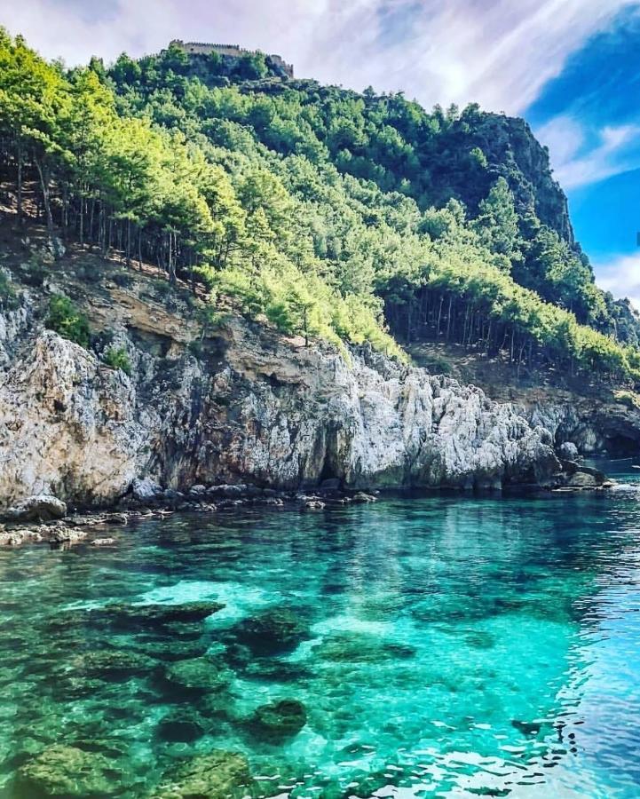 Comfortable Luxury Holiday Home 阿拉尼亚 外观 照片